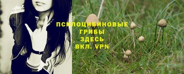 герыч Алексин