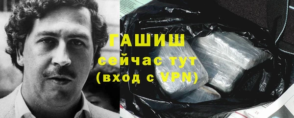герыч Алексин